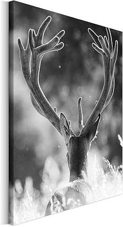 Revolio 30x40 Cm Leinwandbild Wandbilder Wohnzimmer Modern Kunstdruck Design Wanddekoration Deko Bild Auf Leinwand Bilder 1 Teilig Natur Hirsch Geweih Schwarz Weiss Amazon De Kuche Haushalt