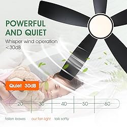 Modern Ceiling Fans with Lights and Remote/APP