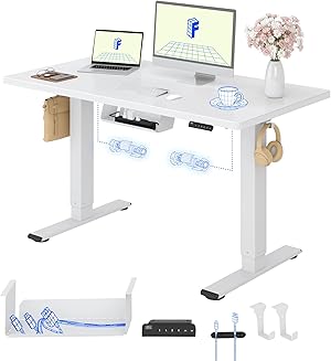 FLEXISPOT Höhenverstellbarer Schreibtisch mit 2 Motoren & 25MM EINTEILIGER Tischplatte 120x80 cm, Ergonomischer Bürotisch Elektrisch mit Kabelmanagement, Memory Funktion & Höhenanzeige