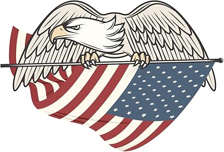 Amazon シンプル 愛国心 アメリカ国旗 漫画 アート アイコン ビニール ステッカー 4 Wide ステッカー デカール 車 バイク