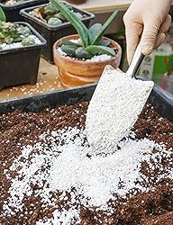 TOYPOPOR Perlite for Plants, 3-6mm Organic Perlite