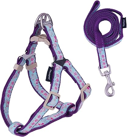dollar tree dog harness