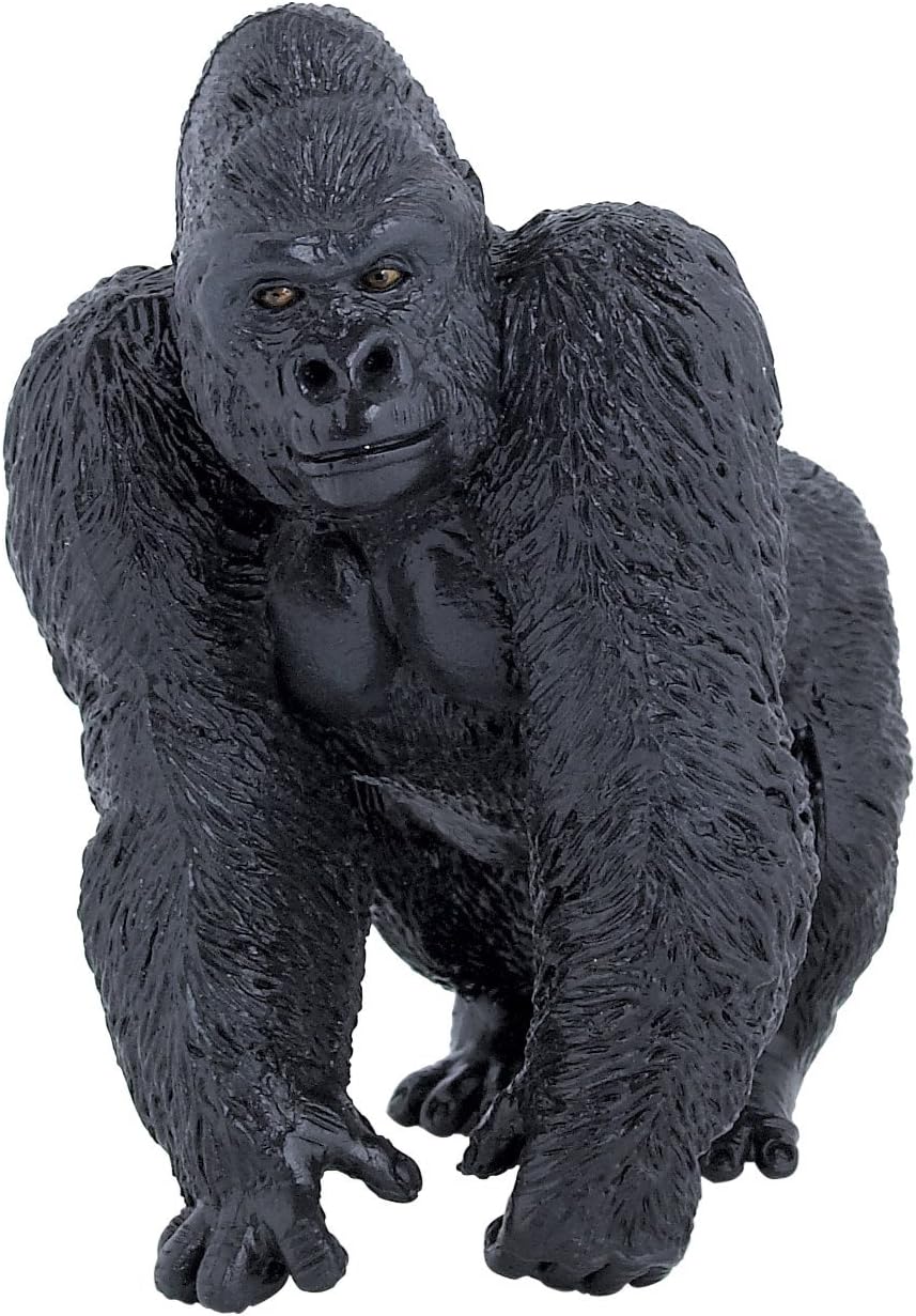 The 2 Best Kingdombuilding 5E