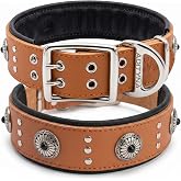 ADITYNA Studded Leather Dog Collar for Large Dogs, Adjustable 19-24" | Heavy-Duty Leather Collar with Decorative Studs &mdash; Wide, Padded, great for German Shepherd, Golden Retriever, Labrador