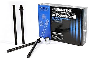 6.0L Head Stud Replacement Kit for 2003-2007 Ford Powerstroke Diesel Cylinder | Installation Instructions with Assembly Lubri