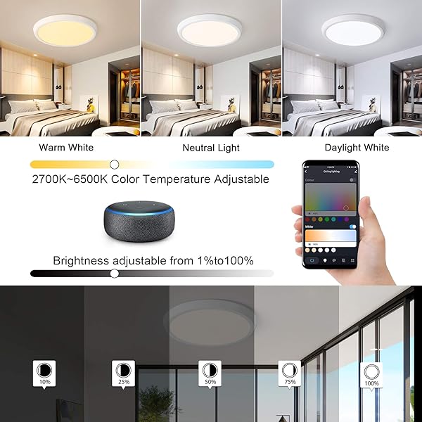 Oeegoo Lmpara LED de techo regulable con WiFi luz de fondo RGB 30W Smart LED plafn compatible con Google Home aplicacin y control por voz ultrafina 3 2 cm
