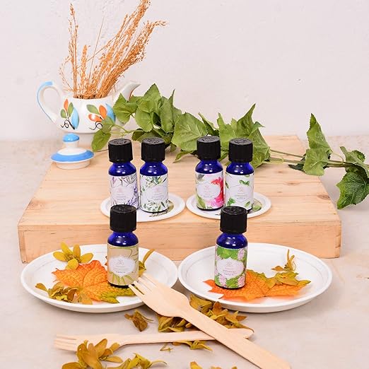 Zenlife Aroma Burner/Diffuser Oil (15 ml, Pack of 6-Eucalyptus, Lemon