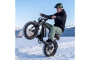 MEGAWHEELS Electric Bike for Adults,1500W Peak Motor, Max 31/33 MPH, 40/75 Miles Range, 20" Fat Tire Ebike, All-Terrain Elect