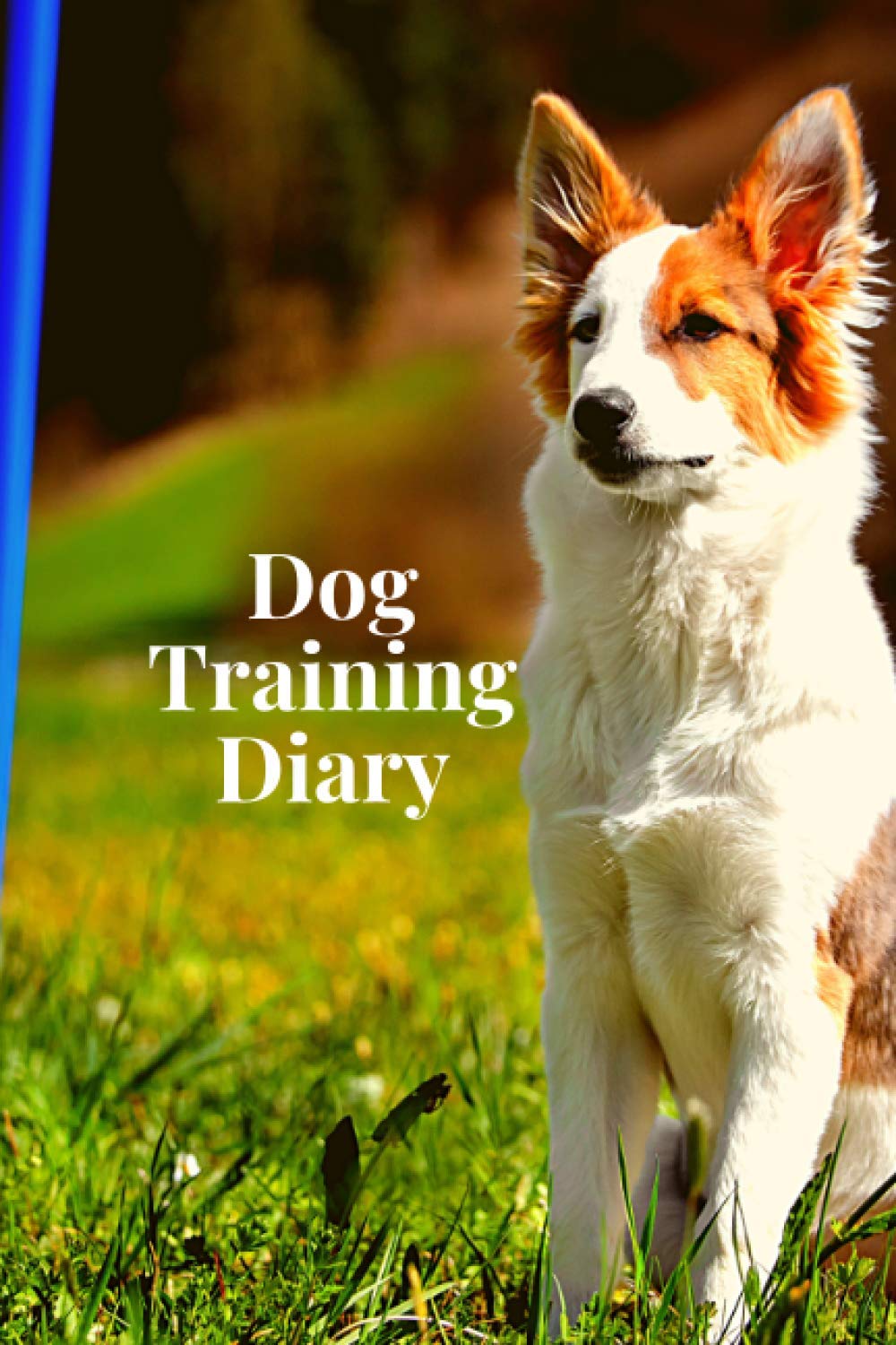Dog Training Diary: Obedience Training for Dogs - Dog Activity Monitor Notebook - Progress Information Logbook Full of Detail (120 Pages - 6 x 9 in)