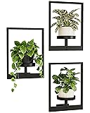 Bamworld Hanging Planters for Indoor Plants Wall