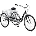 Schwinn Meridian