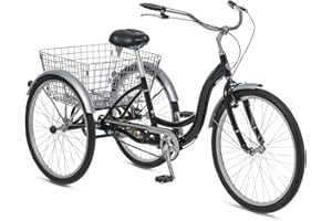 Schwinn Meridian