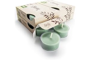 SHORTIE'S CANDLE COMPANY Bayberry Fir Premium Tealight Candles Bulk Pack - Highly Scented with Essential Oils - 24 Green Tea Lights - Beautiful Candlelight - Made in the USA - Christmas & Holiday Collection