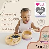 Bubba Bear Baby Bamboo Weaning Set Plates Bowls Spoons with Suction Base view 2