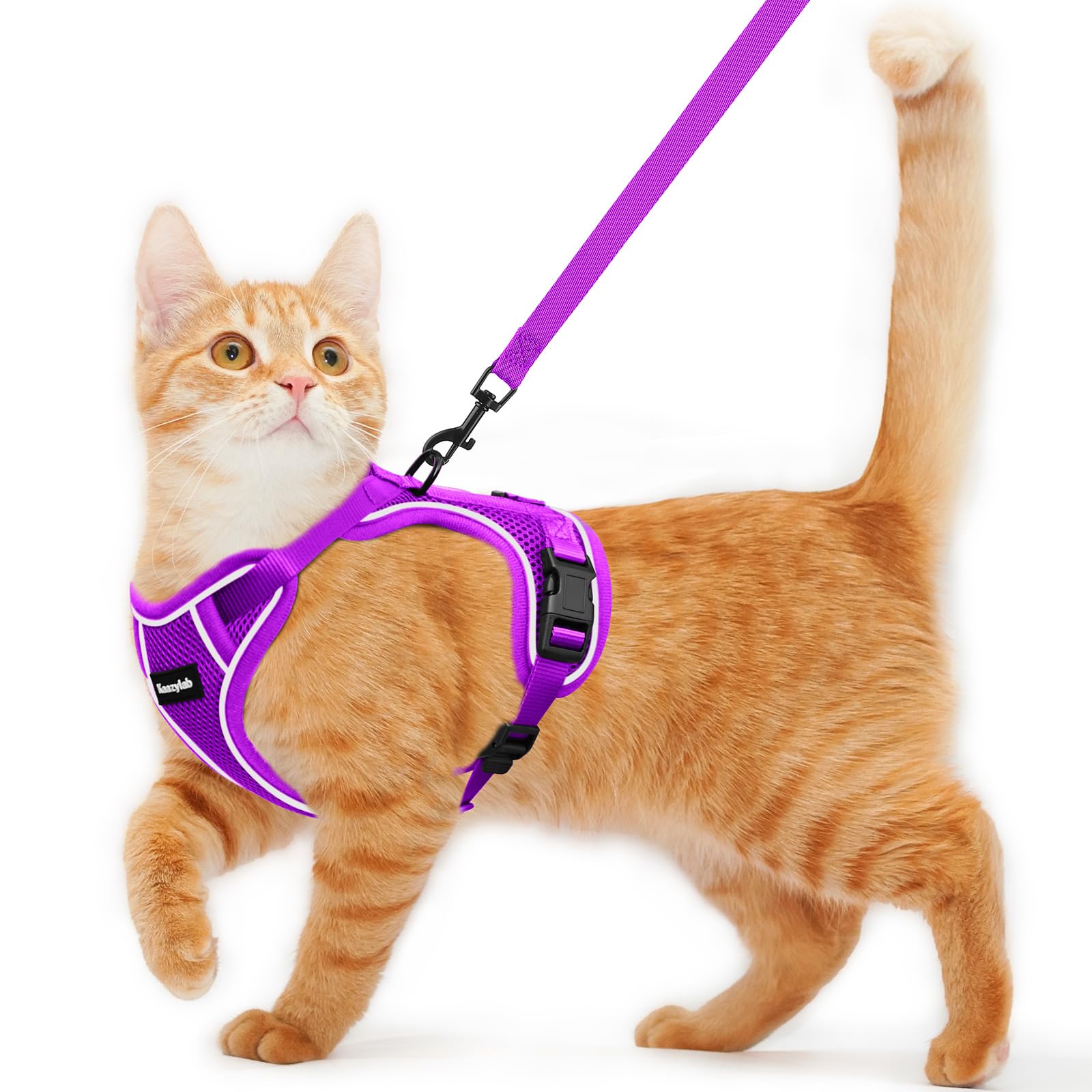 Photo 1 of Cat Harness and Leash for Walking Escape Proof Soft Adjustable Cat Leash Breathable Comfortable Vest Easy to Wear Kitten Harness for Outdoor Travel Purple M