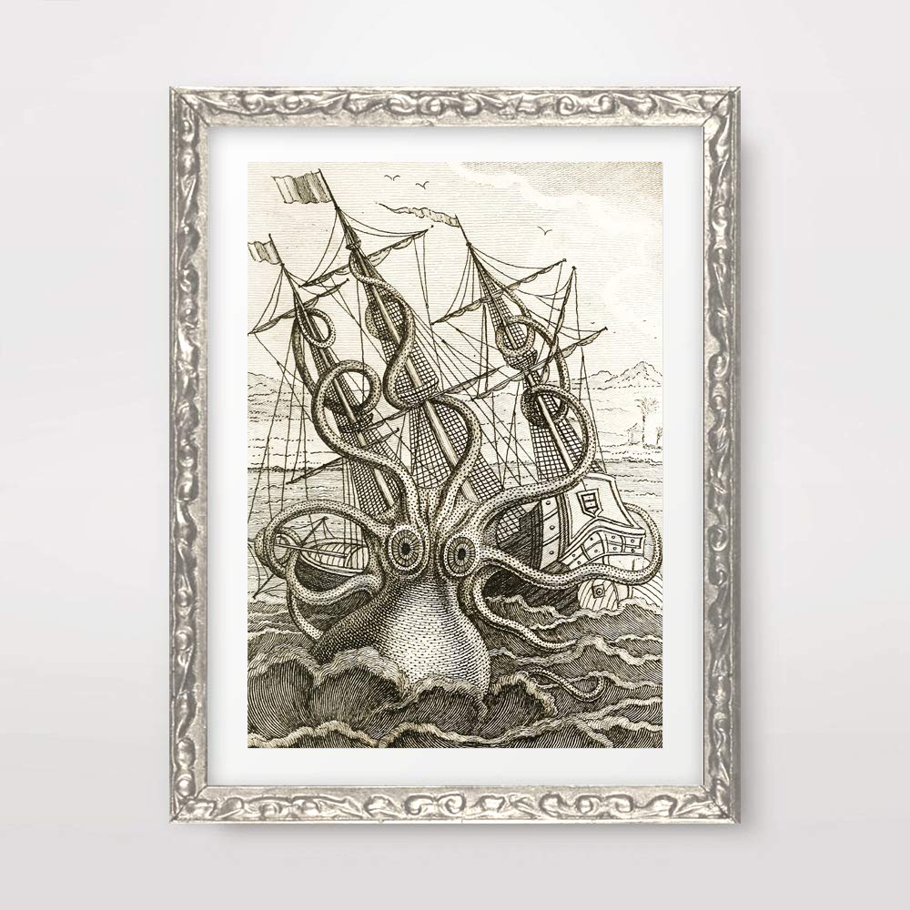 Which Is The Best Squid Home Decor