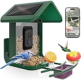 Bird Feeder with Camera Solar Powered : Smart Camera Bird Feeder 2K Live Feed Cam for Backyard - AI Identify Auto Capture Videos Pictures, Gifts for Birdlover Mom Dad, 2.4GHz WiFi