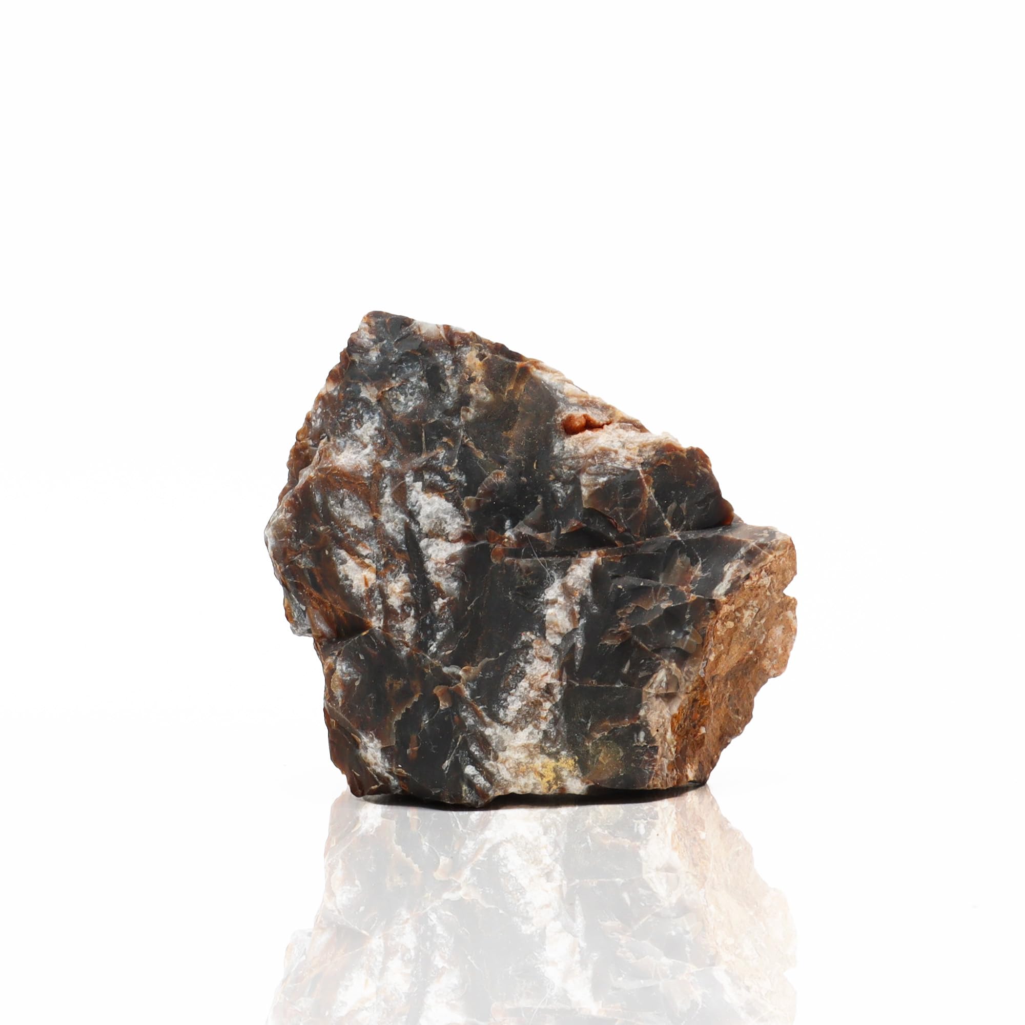 Amtra - Petrified rock, aquarium decoration, natural, non-limestone, 1 KG