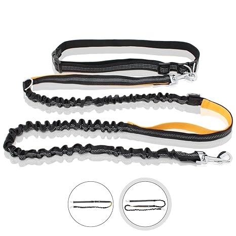 Bella & Balu Hunde Joggingleine mit verstellbarem Taillengurt – Elastische und reflektierende Hundeleine zum freihändigen Jog