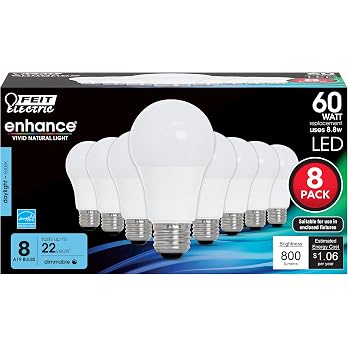 Feit Electric A19 5000K daylight LED light bulb 8-pack