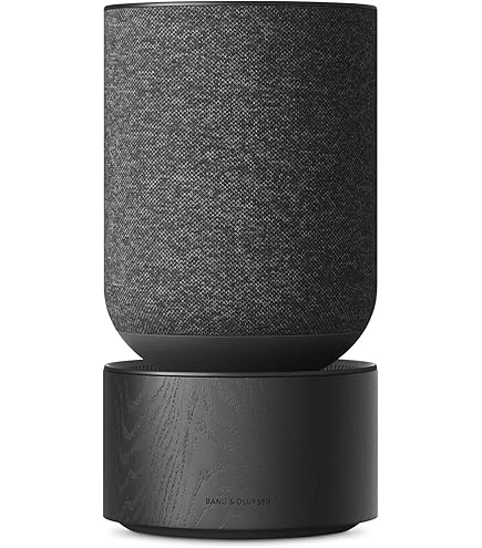 Amazon.com: Bang & Olufsen Beosound 1 Wireless Multiroom