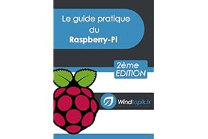 Le guide pratique du Raspberry-Pi: Mettre en oeuvre facilement des réalisations pour le Raspberry-Pi (French Edition)