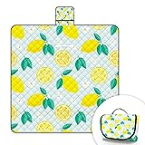 Extra Large Picnic Blanket Waterproof,80"x