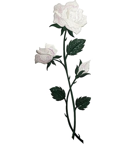 Ramo De Rosas Aisladas Flor De Rosa Blanca Aisladas En Fondo Blanco. La Foto Se Puede Usar Como Tarjeta Saludo Image255049088