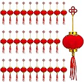 30 PCS Chinese Lanterns Red Mini Hanging Lanterns New Year Wedding Party Home Decoration (30)
