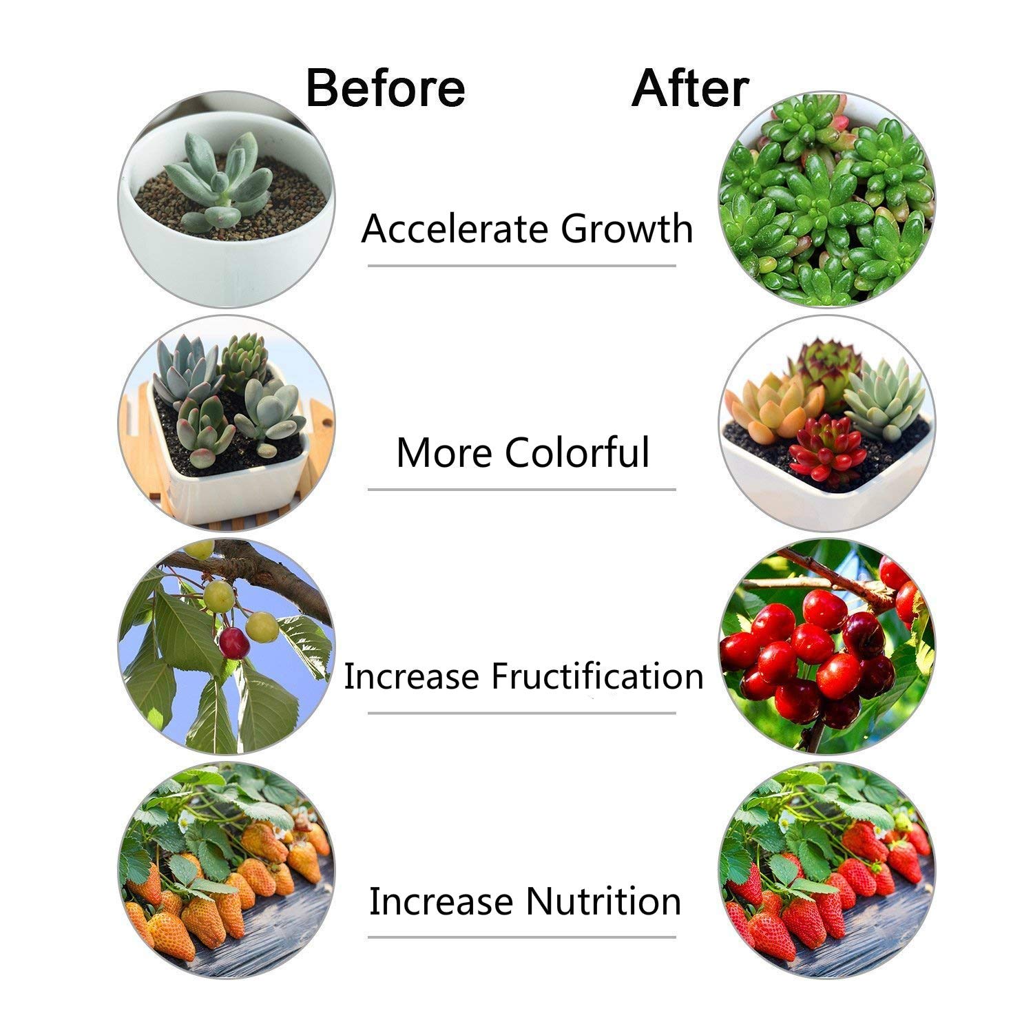 Indoor Plant Grow Light, GIGRIN 27W Plant Light 4/8/12H Timer Grow Lamp for Indoor Plants Hydroponics, Adjustable Gooseneck, Dual Head and Red/Blue LED Beads Divide Control (5 Dimmable Levels)