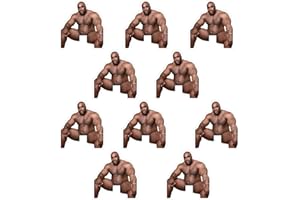 YUGYUJ 10pcs Funny Barry Wood Light Switch Sticker Decals, Waterproof Vinyl Prank Joking Wall Stickers for Living Room, Car, Laptop Skins, Skateboard, Computer, Tumblers, Phone, Bumper (10Pcs)