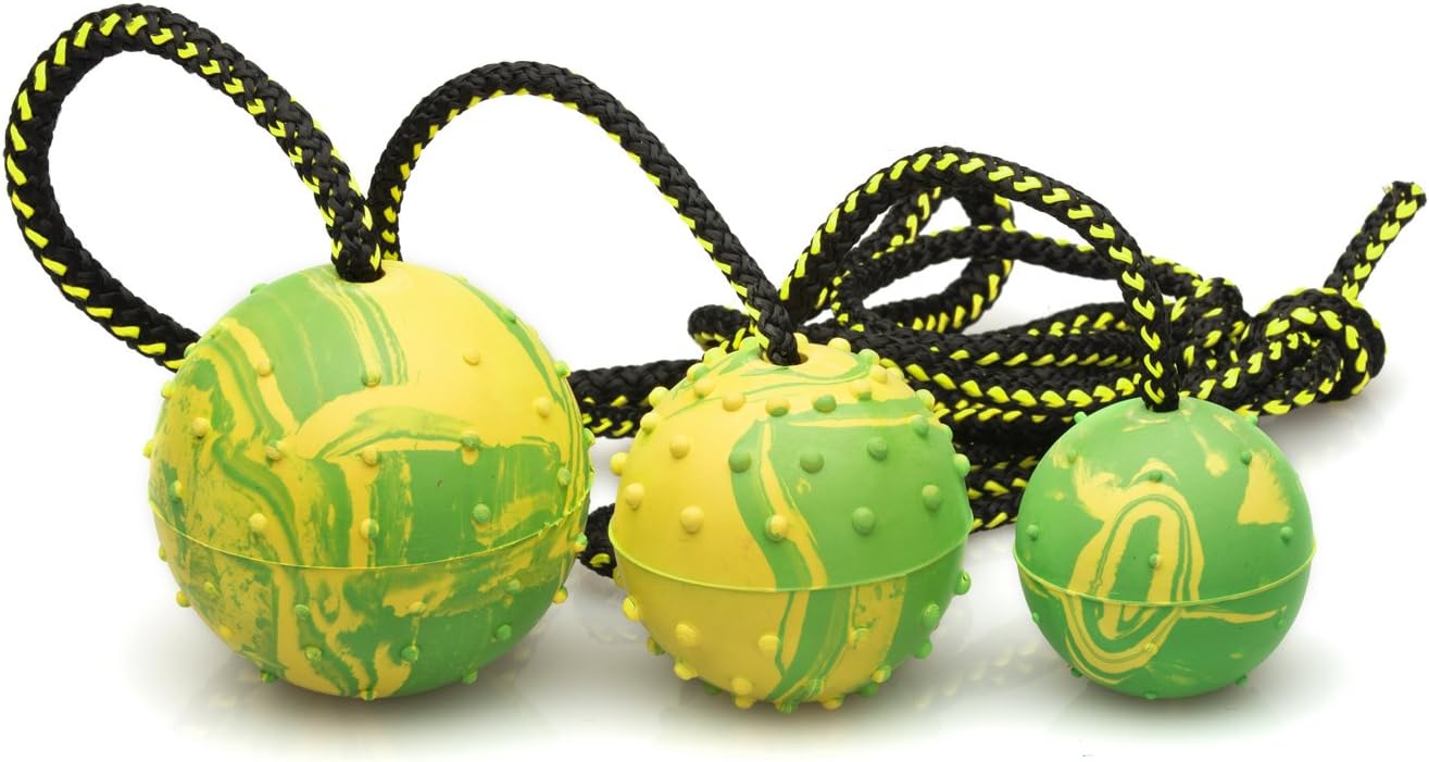 dog training ball