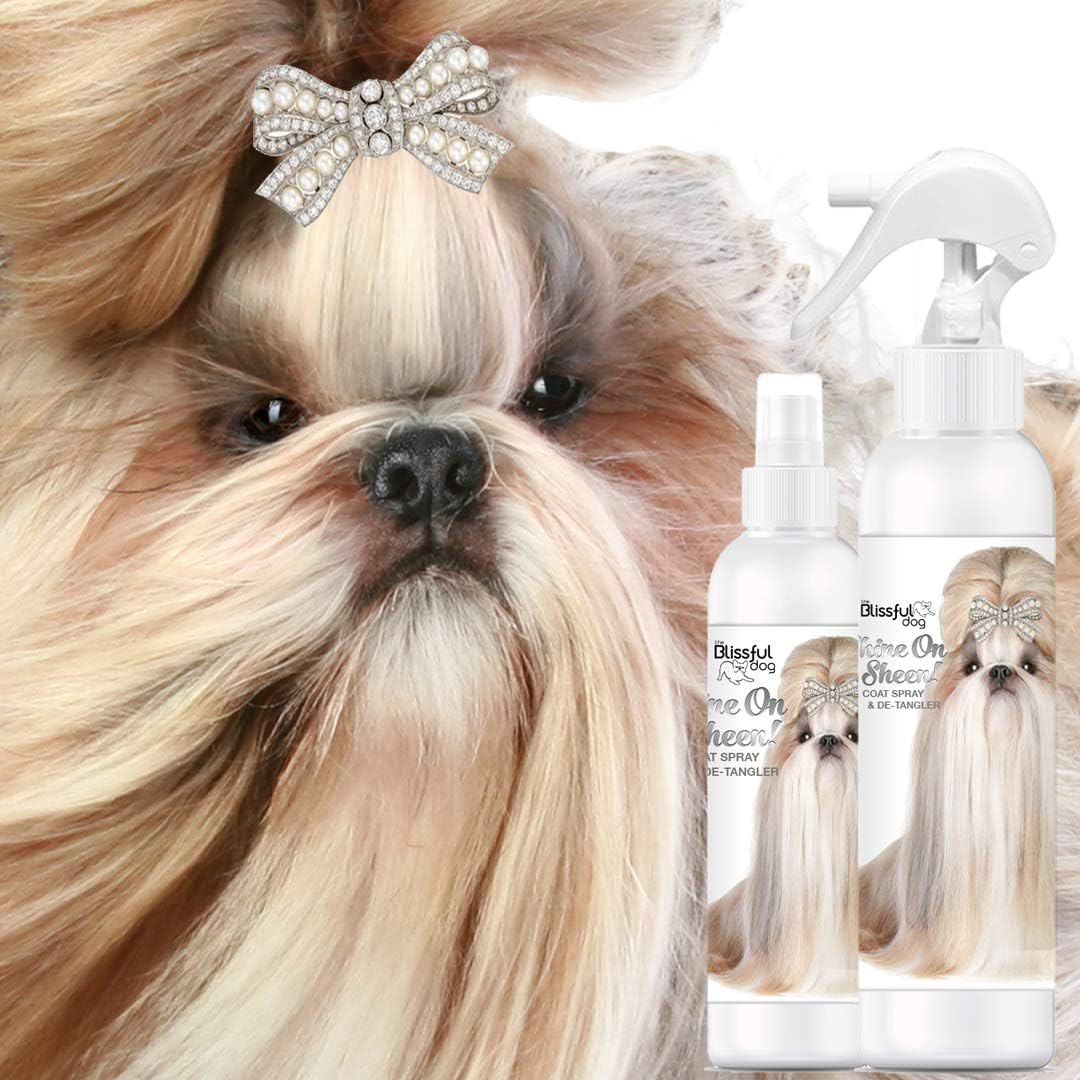 yorkie leave in conditioner