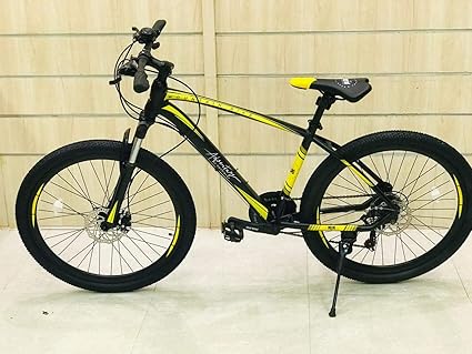 bicycle frame online