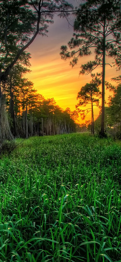 PeelitStickit, Beautiful Nature Wall Murals, ID-2889, vinyl