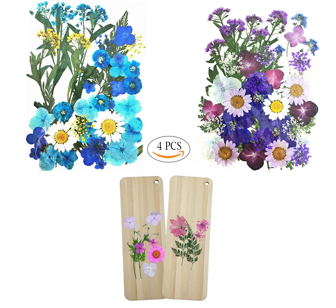 Juego de 4 paquetes de flores prensadas incluyen 2 marcadores de madera