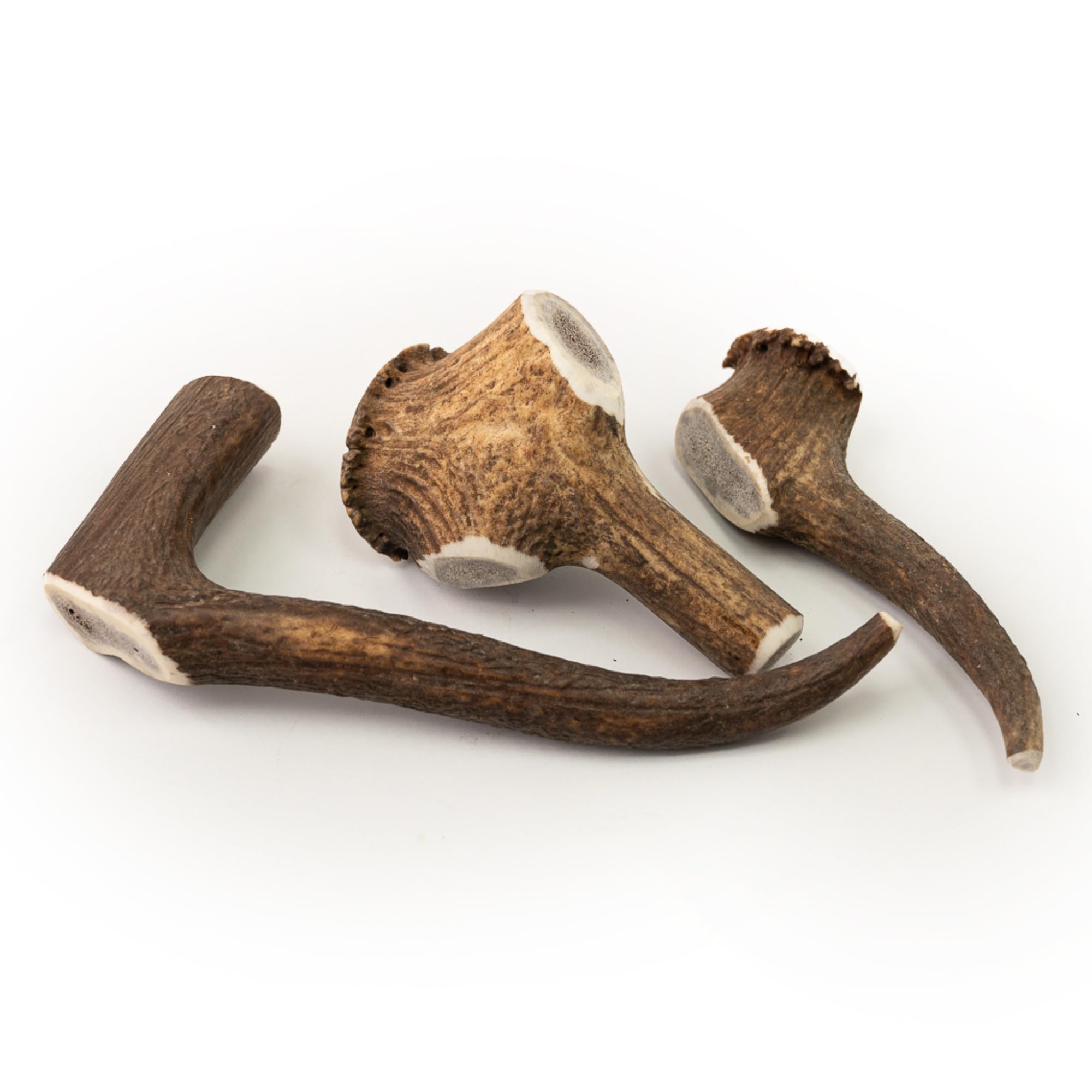 Dragonfly Products 1x Medium Deer Antler for Dogs 81-150g | Ideal for Small/Medium Dogs | Naturally Shed, Ethically Sourced Full Antler | Natural Dental Chews | Sustainable