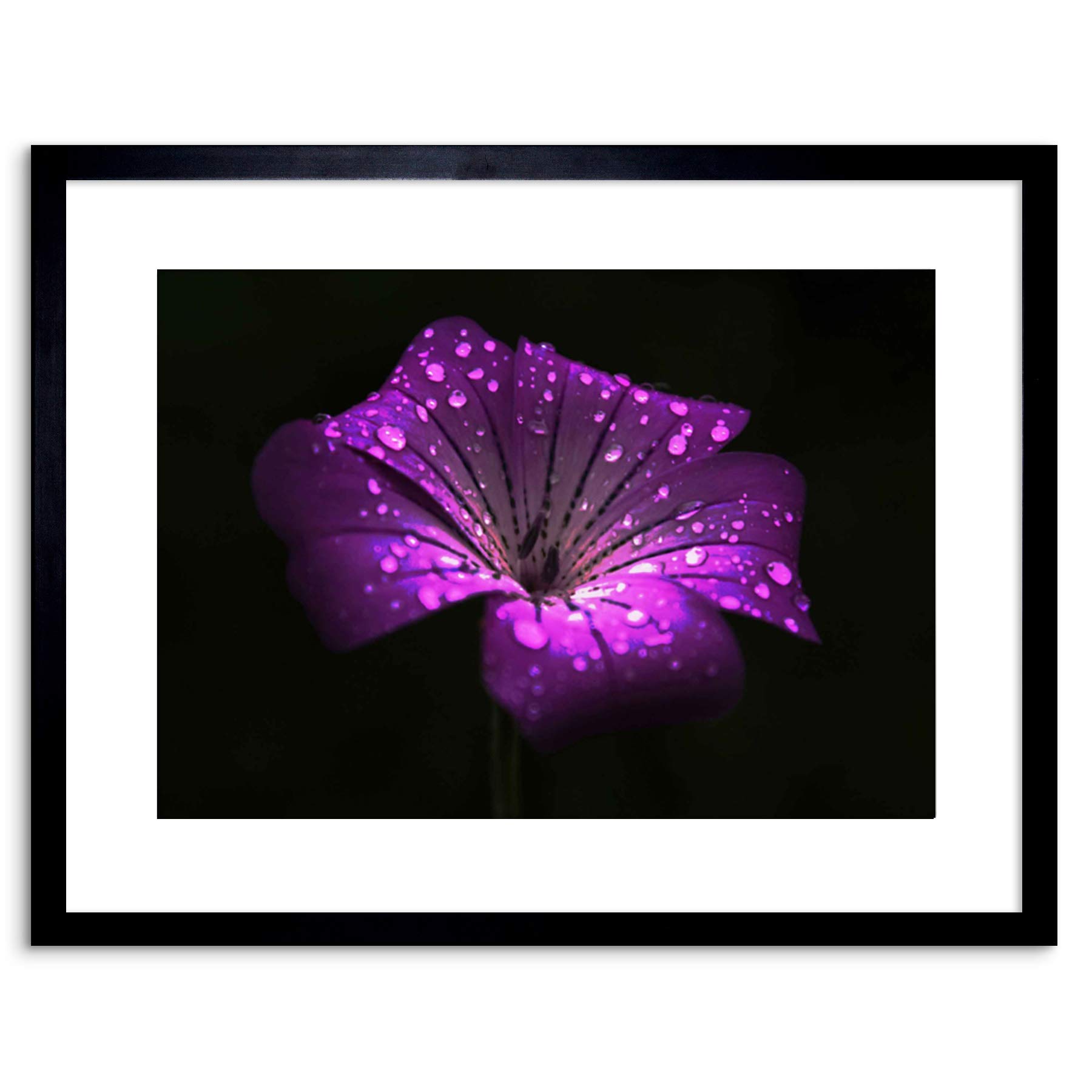 Wee Blue Coo 9x7 '' WATERDROPS SINGLE PURPLE FLOWER FRAMED ART PRINT PICTURE PHOTO F97X1919