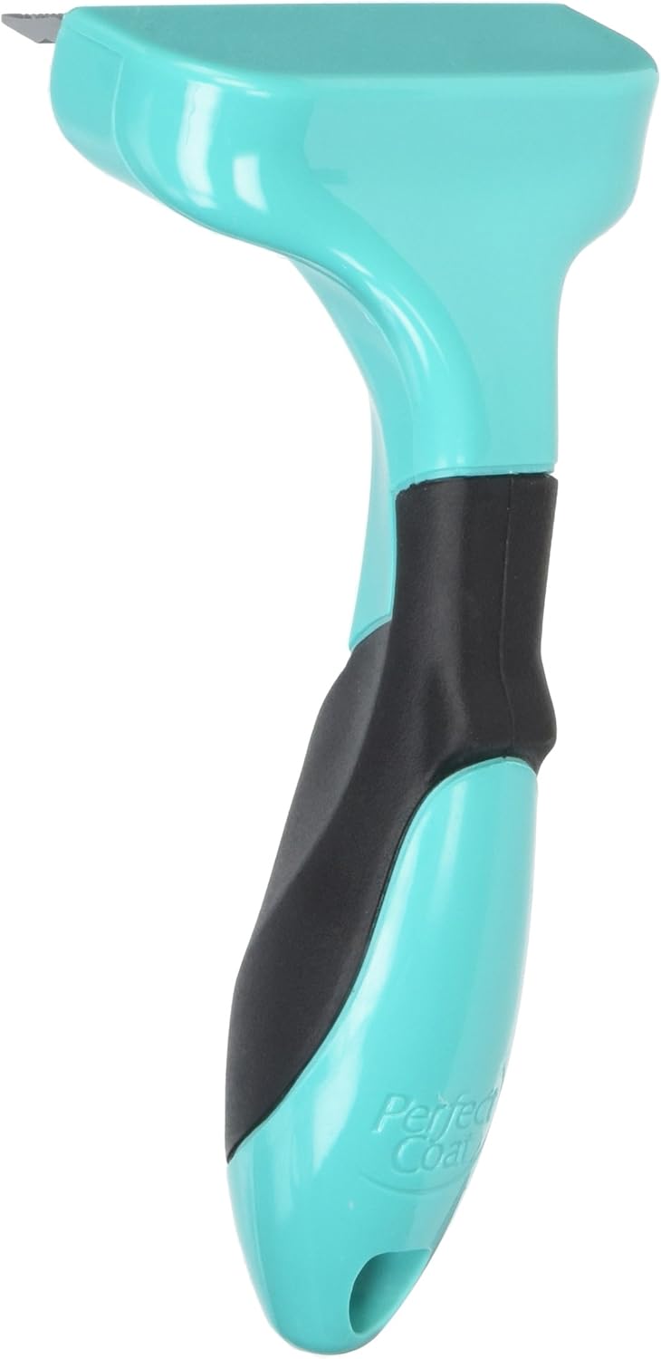 lifespan of feral cats