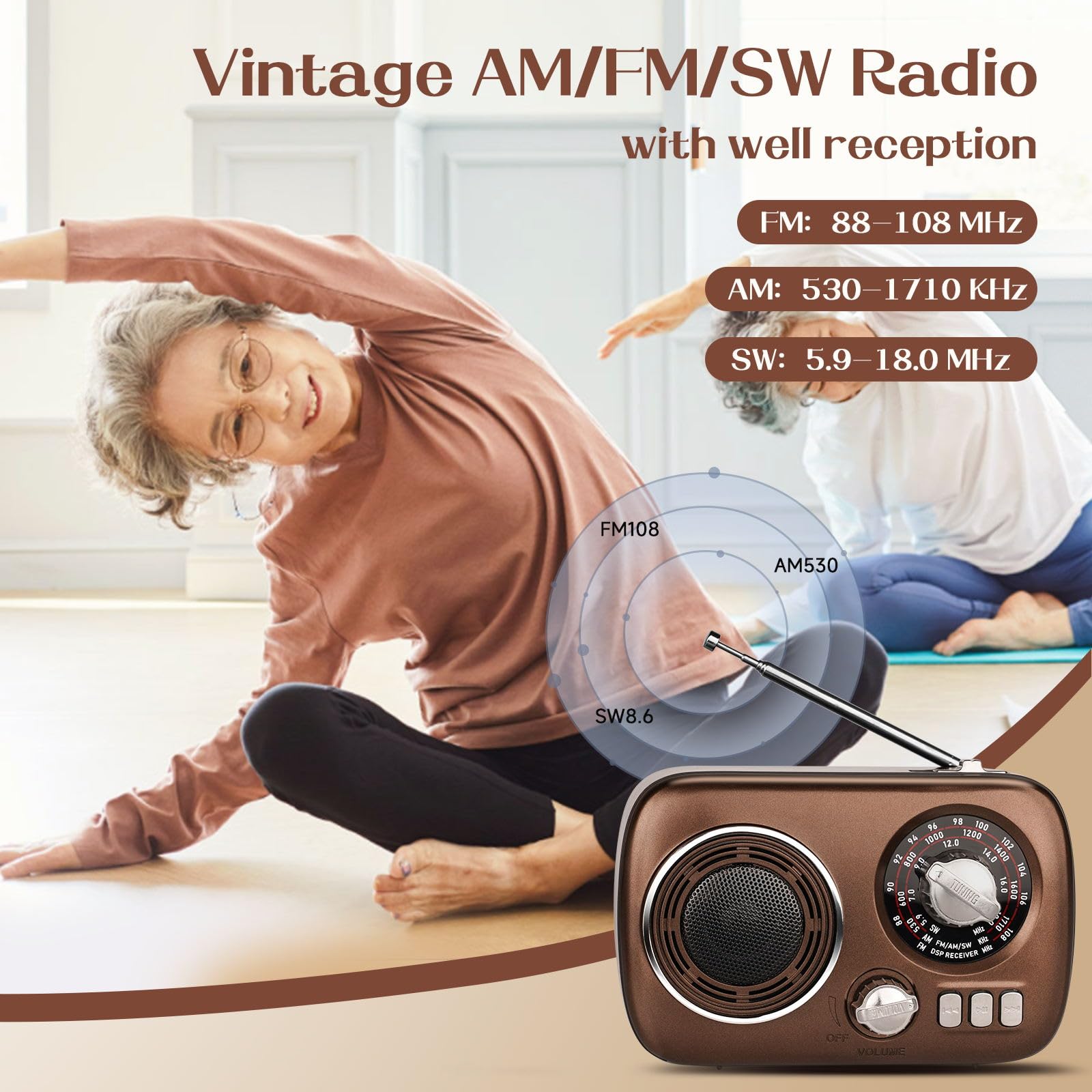 Portable Radio AM FM, Bluetooth Speaker Retro Radio, Support USB/TF ...