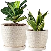 Swkien Plant Pots, Flower Pots, Planters for Indoor Plants(6.5+5.5inch), Flower Pots for Indoor Plant with Drainage Hole and Saucer, Ceramic Pots for Plants with Hole Mesh Pad,Reactive Glaze White