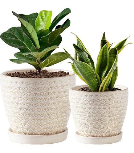 Amazon.com: Docrin Plant Pots Indoor with Drainage: 6.4+5.3+4 Inch Ceramic  Flower Pots for Plants - Set of 3 Modern Decorative Planters for  House/Office/Gift - White Honeycomb : Patio, Lawn & Garden