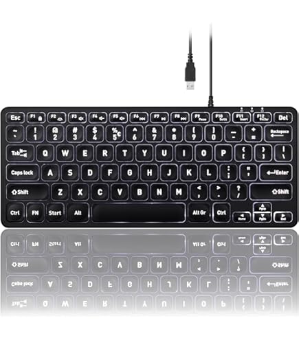 Amazon.com: Perixx PERIBOARD-429 Wired Mini Backlit Keyboard