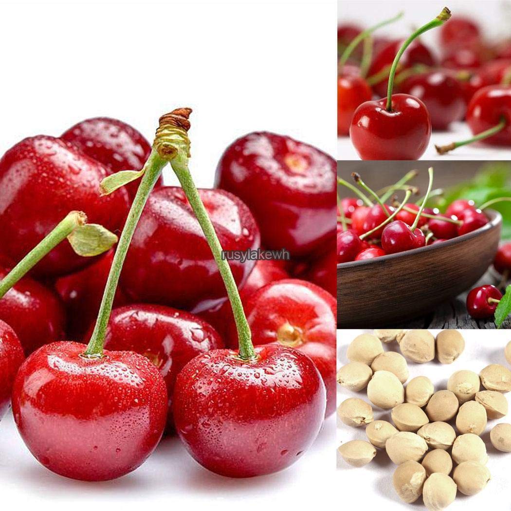 Portal Cool Paquete de se as: 20: Se as Nueva cult r un huerto ...