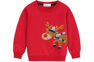 DDSOL Toddler Little Boy Girl Christmas Sweatshirt Kid Xmas Ugly Reindeer Santa Dinosaur Shirt Clothes Long Sleeve Tee Top