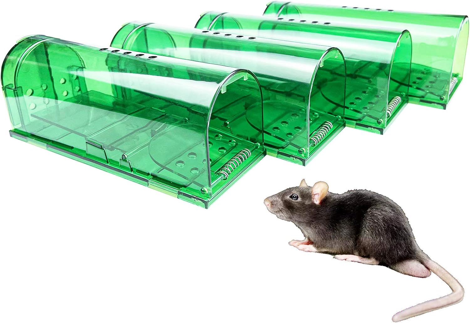 Doicuik Mouse Trap Humane Mouse Trap Mice Trap Catch and Release That Work Mouse