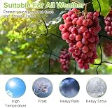 OFFCUP Elastic Trellis Net 120x120cm Garden Netting with 6 Hooks view 4
