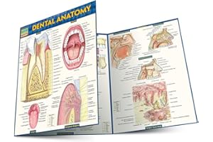 Dental Anatomy: QuickStudy Laminated Reference Guide
