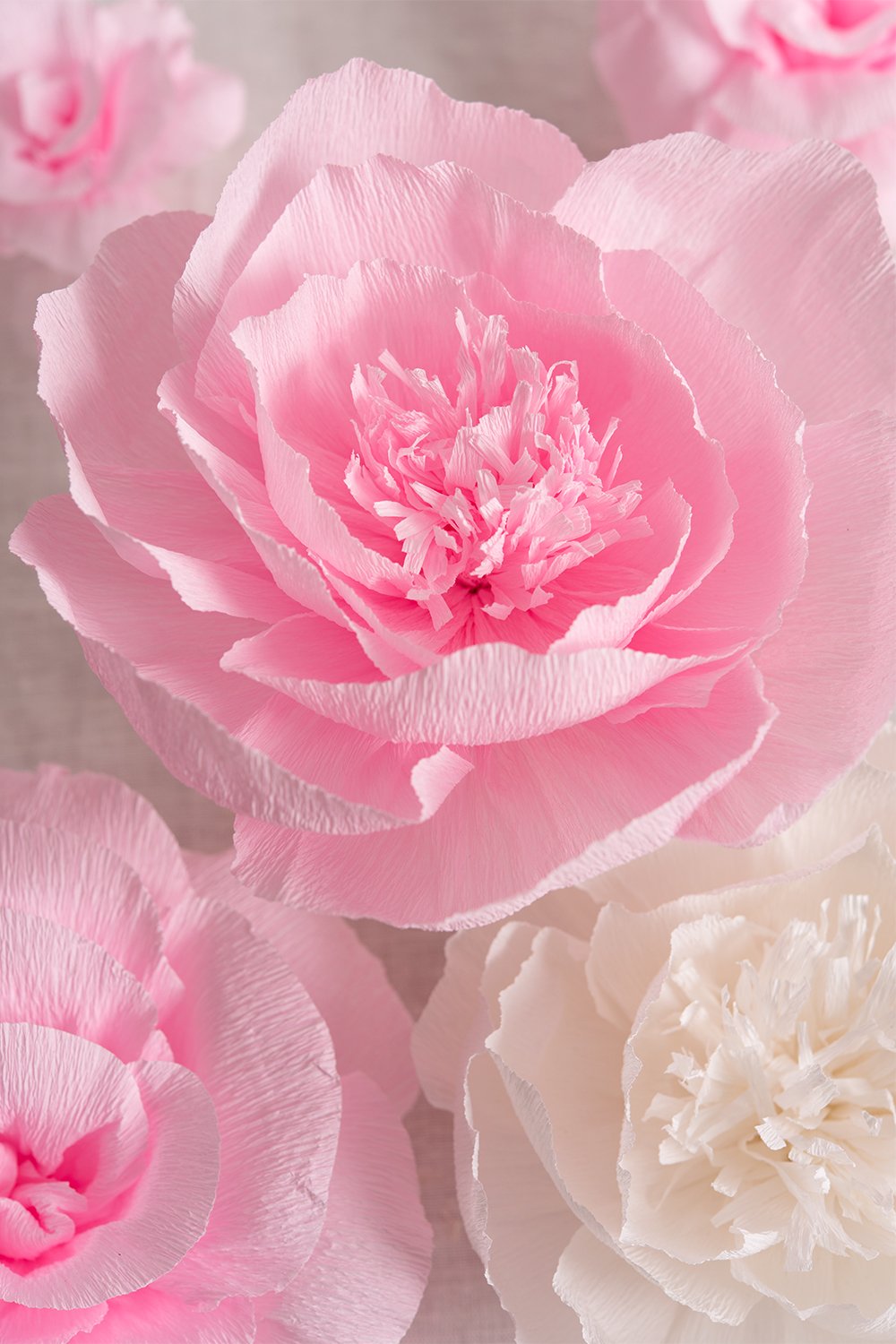 代引可 手作りクレープ紙花セット ピンクとホワイトフラワーのセット6 クリスマス用デコレーション ベビーシャワー 誕生日 結婚式 写真バックドロップ または イベント B077jhv43h 造花 Energywiserewards Pepco Com