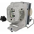 Leankle Replacement Projector Lamp for Optoma BL-FU240E, SP.7G6R1GR01, KHD38+, UHD35, UHD35STx, UHD35x, UHD38, UHD38x, UHD42, UHD55, VDUHDSZ